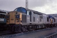 37064 at Toton depot 37064 is surrounded by 37066 and 56088 at Toton depot on 5th April 1986., , I fund my Flickr membership, scanner and software myself. So, if you like my pictures please consider buying me a coffee! www.buymeacoffee.com/seanl, , © Sean Lancastle, all rights reserved. Please do not share or post elsewhere without permission. 37064 at Toton depot 37064 is surrounded by 37066 and 56088 at Toton depot on 5th April 1986., , I fund my Flickr membership, scanner and software myself. So, if you like my pictures please consider buying me a coffee! www.buymeacoffee.com/seanl, , © Sean Lancastle, all rights reserved. Please do not share or post elsewhere without permission.