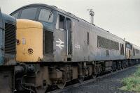 45102 at Toton 45102 stands in the long line of withdrawn peaks in Toton yard on 22nd August 1987., , I fund my Flickr membership, scanner and software myself. So, if you like my pictures please consider buying me a coffee! www.buymeacoffee.com/seanl, , © Sean Lancastle, all rights reserved. Please do not share or post elsewhere without permission. 45102 at Toton 45102 stands in the long line of withdrawn peaks in Toton yard on 22nd August 1987., , I fund my Flickr membership, scanner and software myself. So, if you like my pictures please consider buying me a coffee! www.buymeacoffee.com/seanl, , © Sean Lancastle, all rights reserved. Please do not share or post elsewhere without permission.