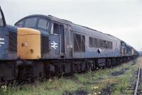 45074 at Toton 45074 stands in the long line of withdrawn peaks (and the odd 25) in Toton yard on 22nd August 1987., , I fund my Flickr membership, scanner and software myself. So, if you like my pictures please consider buying me a coffee! www.buymeacoffee.com/seanl, , © Sean Lancastle, all rights reserved. Please do not share or post elsewhere without permission. 45074 at Toton 45074 stands in the long line of withdrawn peaks (and the odd 25) in Toton yard on 22nd August 1987., , I fund my Flickr membership, scanner and software myself. So, if you like my pictures please consider buying me a coffee! www.buymeacoffee.com/seanl, , © Sean Lancastle, all rights reserved. Please do not share or post elsewhere without permission.