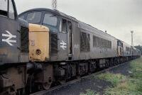 45077 at Toton 45077 stands in the long line of withdrawn peaks in Toton yard on 22nd August 1987., , I fund my Flickr membership, scanner and software myself. So, if you like my pictures please consider buying me a coffee! www.buymeacoffee.com/seanl, , © Sean Lancastle, all rights reserved. Please do not share or post elsewhere without permission. 45077 at Toton 45077 stands in the long line of withdrawn peaks in Toton yard on 22nd August 1987., , I fund my Flickr membership, scanner and software myself. So, if you like my pictures please consider buying me a coffee! www.buymeacoffee.com/seanl, , © Sean Lancastle, all rights reserved. Please do not share or post elsewhere without permission.