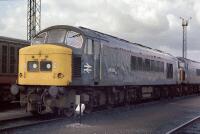 45036 at Toton depot 45036 became a bit of a celebrity as it was the last peak with domino headcodes. Toton depot yard on 5th April 1986., , I fund my Flickr membership, scanner and software myself. So, if you like my pictures please consider buying me a coffee! www.buymeacoffee.com/seanl, , © Sean Lancastle, all rights reserved. Please do not share or post elsewhere without permission. 45036 at Toton depot 45036 became a bit of a celebrity as it was the last peak with domino headcodes. Toton depot yard on 5th April 1986., , I fund my Flickr membership, scanner and software myself. So, if you like my pictures please consider buying me a coffee! www.buymeacoffee.com/seanl, , © Sean Lancastle, all rights reserved. Please do not share or post elsewhere without permission.