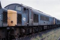 45005 at Toton 45005 stands in the long line of withdrawn peaks in Toton yard on 22nd August 1987., , I fund my Flickr membership, scanner and software myself. So, if you like my pictures please consider buying me a coffee! www.buymeacoffee.com/seanl, , © Sean Lancastle, all rights reserved. Please do not share or post elsewhere without permission. 45005 at Toton 45005 stands in the long line of withdrawn peaks in Toton yard on 22nd August 1987., , I fund my Flickr membership, scanner and software myself. So, if you like my pictures please consider buying me a coffee! www.buymeacoffee.com/seanl, , © Sean Lancastle, all rights reserved. Please do not share or post elsewhere without permission.