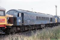 45006 at Toton depot 45006 stands withdrawn in Toton depot yard on 22nd August 1987., , I fund my Flickr membership, scanner and software myself. So, if you like my pictures please consider buying me a coffee! www.buymeacoffee.com/seanl, , © Sean Lancastle, all rights reserved. Please do not share or post elsewhere without permission. 45006 at Toton depot 45006 stands withdrawn in Toton depot yard on 22nd August 1987., , I fund my Flickr membership, scanner and software myself. So, if you like my pictures please consider buying me a coffee! www.buymeacoffee.com/seanl, , © Sean Lancastle, all rights reserved. Please do not share or post elsewhere without permission.