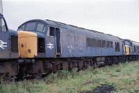 45131 at Toton 45131 stands in the long line of withdrawn peaks in Toton yard on 22nd August 1987., , I fund my Flickr membership, scanner and software myself. So, if you like my pictures please consider buying me a coffee! www.buymeacoffee.com/seanl, , © Sean Lancastle, all rights reserved. Please do not share or post elsewhere without permission. 45131 at Toton 45131 stands in the long line of withdrawn peaks in Toton yard on 22nd August 1987., , I fund my Flickr membership, scanner and software myself. So, if you like my pictures please consider buying me a coffee! www.buymeacoffee.com/seanl, , © Sean Lancastle, all rights reserved. Please do not share or post elsewhere without permission.