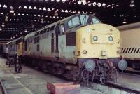 37138 at Toton depot 37138 stands inside Toton depot building on 16/07/1994., , I fund my Flickr membership, scanner and software myself. So, if you like my pictures please consider buying me a coffee! www.buymeacoffee.com/seanl, , © Sean Lancastle, all rights reserved. Please do not share or post elsewhere without permission. 37138 at Toton depot 37138 stands inside Toton depot building on 16/07/1994., , I fund my Flickr membership, scanner and software myself. So, if you like my pictures please consider buying me a coffee! www.buymeacoffee.com/seanl, , © Sean Lancastle, all rights reserved. Please do not share or post elsewhere without permission.