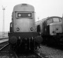 20219 at Toton depot Shed visits were all about getting up close to big machines, like this shot of 20219 at Toton next to classmates and peaks on 23rd July 1983., , Taken on a Kodak Instamatic 126 camera, resulting in poor resolution negatives!, , I fund my Flickr membership, scanner and software myself. So, if you like my pictures please consider buying me a coffee! www.buymeacoffee.com/seanl, , © Sean Lancastle, all rights reserved. Please do not share or post elsewhere without permission. 20219 at Toton depot Shed visits were all about getting up close to big machines, like this shot of 20219 at Toton next to classmates and peaks on 23rd July 1983., , Taken on a Kodak Instamatic 126 camera, resulting in poor resolution negatives!, , I fund my Flickr membership, scanner and software myself. So, if you like my pictures please consider buying me a coffee! www.buymeacoffee.com/seanl, , © Sean Lancastle, all rights reserved. Please do not share or post elsewhere without permission.