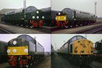 40122 (D200) at Toton Depot On the day it was released from Toton depot after its restoration to original condition in August 1983, 40122/D200 was displayed with a small yellow panel at one end and plain green at the other. I was on a Saturday morning permit visit and had no idea the loco was there. I only had a very poor camera at the time and the resultant negatives are very grainy - hence the montage. The loco bottom right is 40076, a parts donor for the restoration seen in the shed yard on the same day., , I fund my Flickr membership, scanner and software myself. So, if you like my pictures please consider buying me a coffee! www.buymeacoffee.com/seanl, , © Sean Lancastle, all rights reserved. Please do not share or post elsewhere without permission. 40122 (D200) at Toton Depot On the day it was released from Toton depot after its restoration to original condition in August 1983, 40122/D200 was displayed with a small yellow panel at one end and plain green at the other. I was on a Saturday morning permit visit and had no idea the loco was there. I only had a very poor camera at the time and the resultant negatives are very grainy - hence the montage. The loco bottom right is 40076, a parts donor for the restoration seen in the shed yard on the same day., , I fund my Flickr membership, scanner and software myself. So, if you like my pictures please consider buying me a coffee! www.buymeacoffee.com/seanl, , © Sean Lancastle, all rights reserved. Please do not share or post elsewhere without permission.