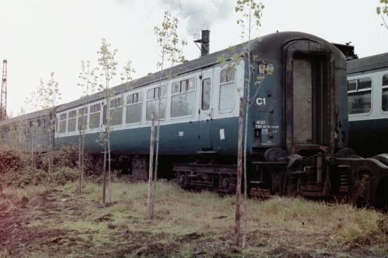 5131 www.flickr.com/photos/190480275@N02/50428189237/in/photol... 5131 www.flickr.com/photos/190480275@N02/50428189237/in/photol...