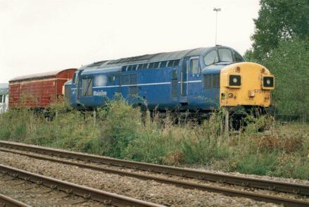 37077 37077 at Snailwell on 18th August 1999. 37077 37077 at Snailwell on 18th August 1999.