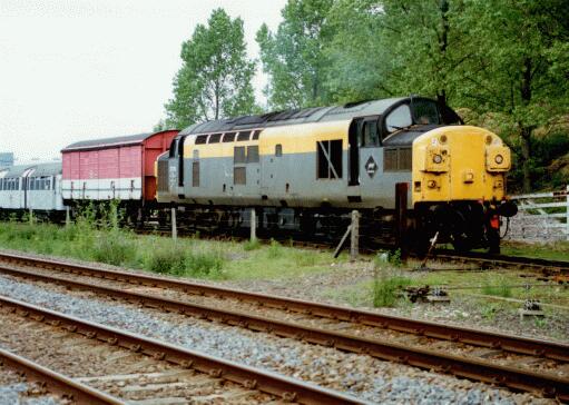 37012 37012 at Snailwell on 27th May 1994. 37012 37012 at Snailwell on 27th May 1994.